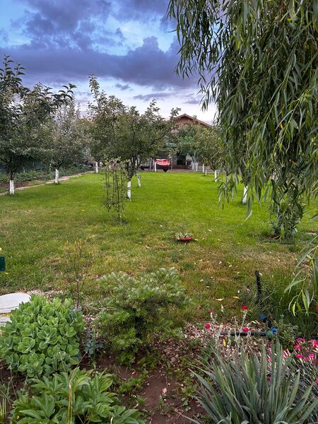 Mihailesti, Giurgiu.