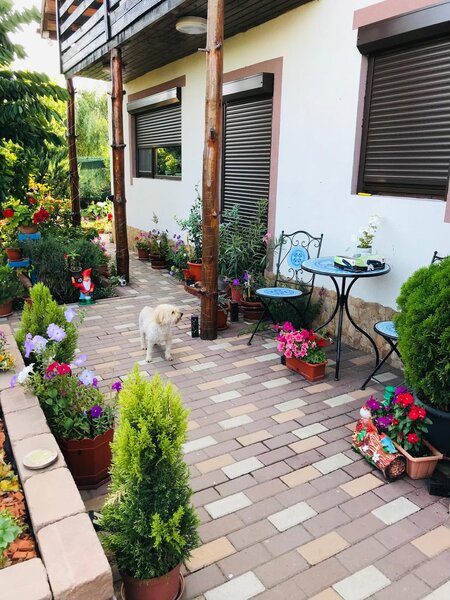 Mihailesti, Giurgiu.